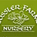美国 Gossler农场苗圃 Gossler Farms Nursery – 俄勒冈州稀有观赏植物家族苗圃