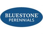 蓝石头多年生植物有限公司， Bluestone Perennials