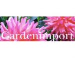 Gardenimport.com