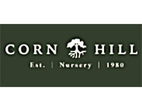玉米山苗圃 ，Corn Hill Nursery