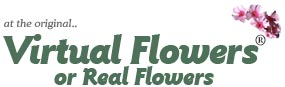 虚拟鲜花 Virtual Flowers