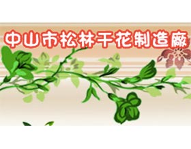 中山市南区松林干花厂