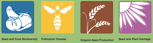 加拿大多样性种子网络 Seeds of Diversity