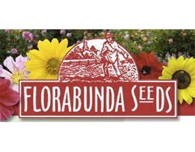 花卉种子， Florabunda Seeds