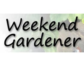 周末园丁, Weekend Gardener