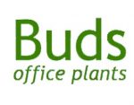 萌芽办公室植物， Buds Office Plants