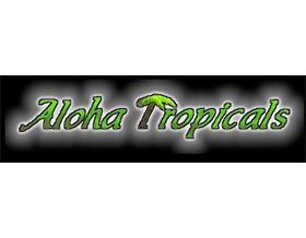 爱热带植物 ，Aloha Tropicals