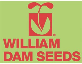 威廉大坝种子 William Dam Seeds