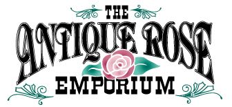 美国古董月季（玫瑰）商场 Antique Rose Emporium