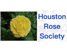 休斯顿月季协会， Houston Rose Society