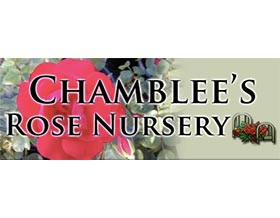 钱布利月季苗圃， Chamblee's Rose Nursery