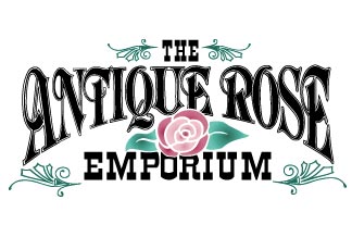 古董月季商场， Antique Rose Emporium