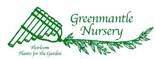 美国绿斗篷苗圃 Greenmantle Nursery