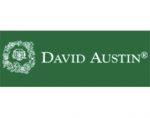 戴维奥斯汀月季David Austin Roses