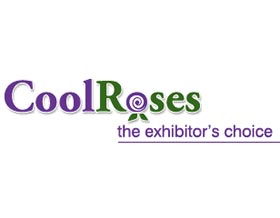 酷月季 Cool Roses