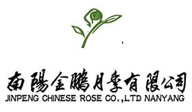 南阳金鹏月季有限公司, JINPENG CHINESE ROSE CO.LTD NANYANG