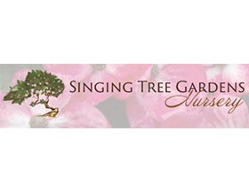 唱歌树花园苗圃 ，Singing Tree Gardens Nursery