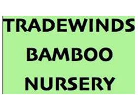 Tradewinds 竹子苗圃 Bamboo Nursery