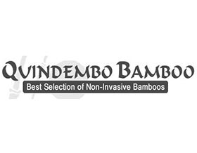 Quindembo Bamboo，竹子苗圃