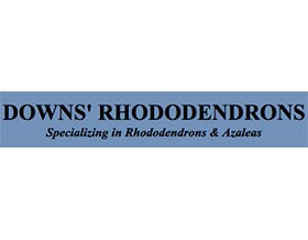 DOWNS的杜鹃花， DOWNS' RHODODENDRONS