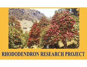 挪威杜鹃研究计划 RHODODENDRON RESEARCH PROJECT