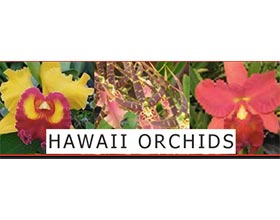 夏威夷兰花 Hawaii Orchids