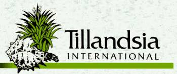 美国铁兰国际 Tillandsia International