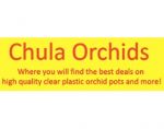 Chula Orchids