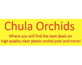 Chula Orchids