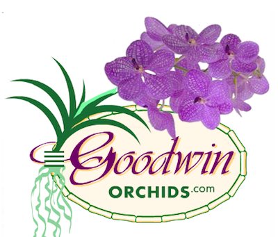 美国Goodwin兰花苗圃 Goodwin Orchids