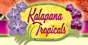 美国Kalapana热带植物公司