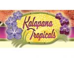 卡拉帕热带植物公司， Kalapana Tropicals Inc.
