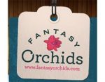 梦幻兰花， Fantasy Orchids