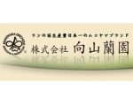 向山兰园株式会社， Mukoyama Orchids Co.Ltd