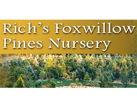 Foxwillow 松树苗圃Pines Nursery