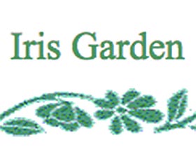 鸢尾花园, Iris Garden