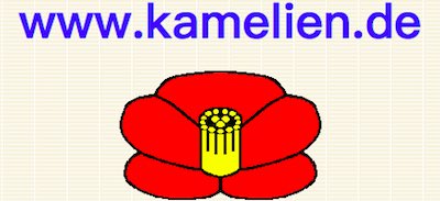 德国的山茶花 Kamelien in Deutschland