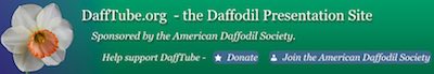 美国DaffTube水仙花展示网站