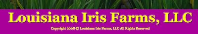 美国路易斯安那鸢尾农场 Louisiana Iris Farms