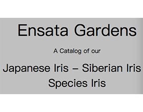 美国Ensata鸢尾花园 Ensata Gardens