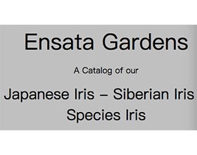 Ensata 花园 ，Ensata Gardens