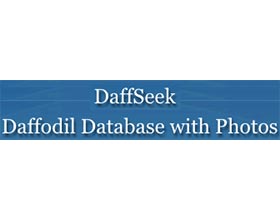 DaffSeek，水仙花数据库