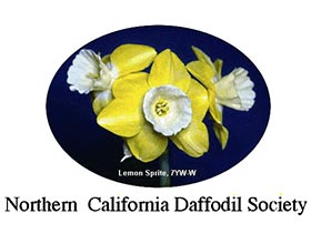 北加州水仙花协会， Northern California Daffodil Society(NCDS)