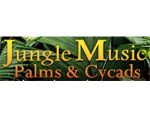 丛林音乐棕榈和苏铁， Jungle Music Palms and Cycads