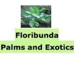 开花棕榈和异国植物， Floribunda Palms and Exotics
