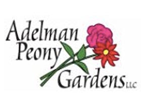 阿德尔曼牡丹花园， Adelman Peony Gardens