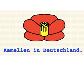 德国的山茶花 Kamelien in Deutschland