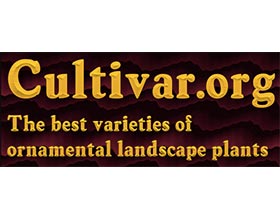 园艺品种中心 Cultiver.com