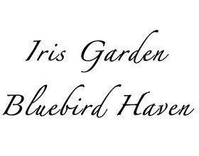 蓝色知更鸟鸢尾园， Bluebird Haven Iris Garden