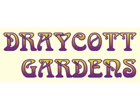 DRAYCOTT 花园， DRAYCOTT GARDENS